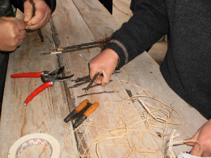 Xornada de portas abertas sobre recuperación de variedades locais de froiteiras na Estrada