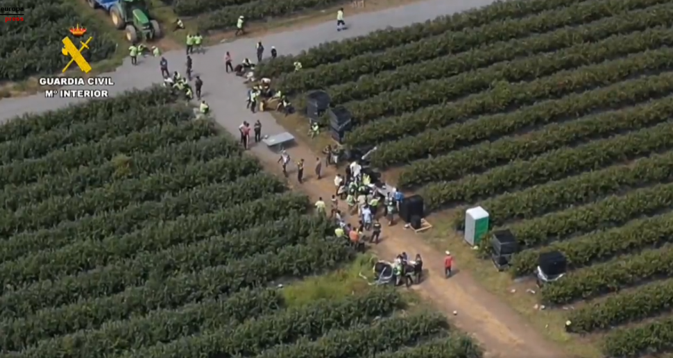 Racismo, explotación laboral, acaparamento de terras e contaminación: AGROINDUSTRIA FÓRA DA GALIZA!