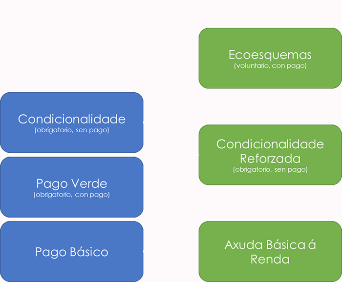 Unha nova PAC pintada de verde pero enferruxada no seu interior: Condicionalidade reforzada, ecoesquemas e agroambientais