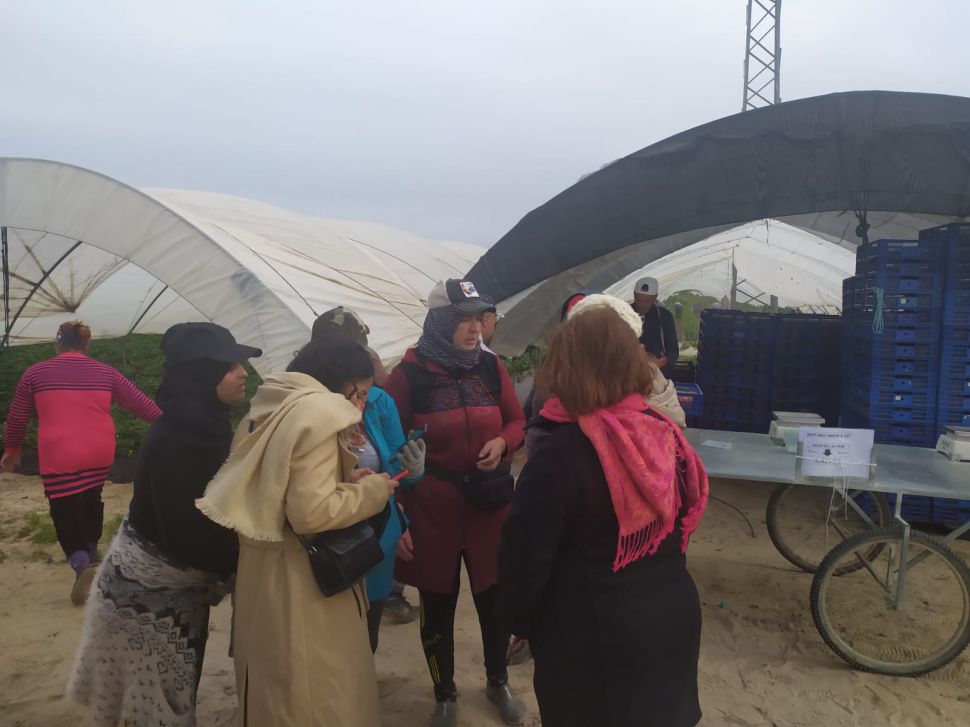 A agroindustria de froitos vermellos: Máis Escravitude, Menos Dereitos