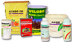 A ALMACENAXE DOS PRODUCTOS FITOSANITARIOS