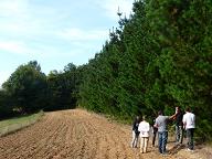 O Sindicato Labrego Galego leva a súa campaña contra a forestación ilegal de terras agrarias até Becerreá