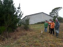 O SLG denunciou en Castroverde plantacións forestais ilegais que “converten a Galiza en pasto para o lume”
