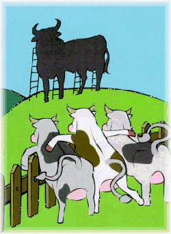 Axudas á recría:  outra vítima do  “recorte presupostario”