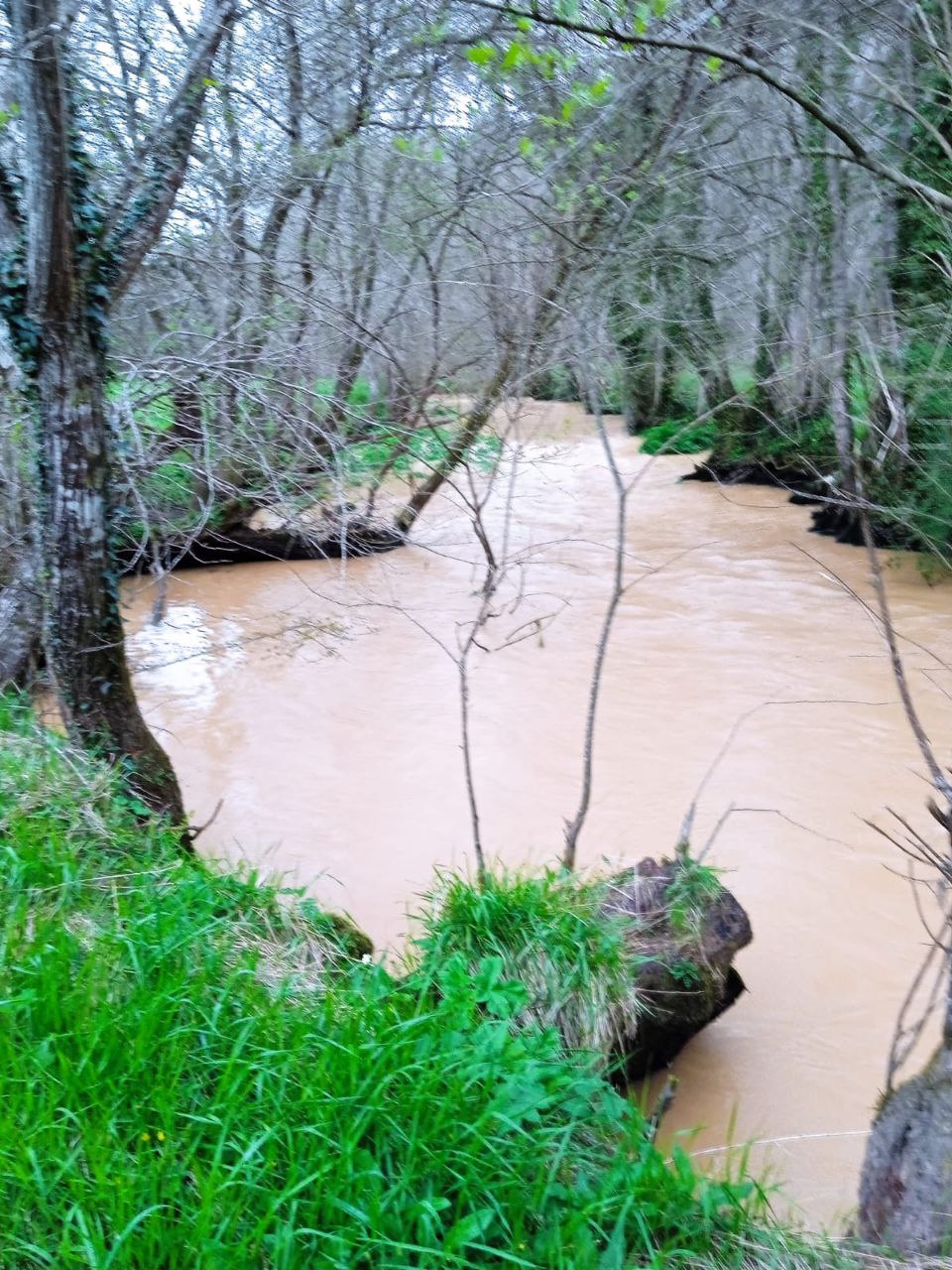 O SLG denuncia a rotura dunha balsa mineira de Erimsa no río Tambre