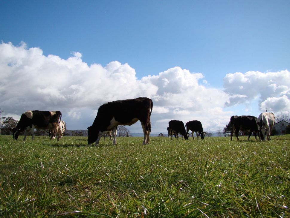Alarma no sector pola denegación masiva de plans de mellora