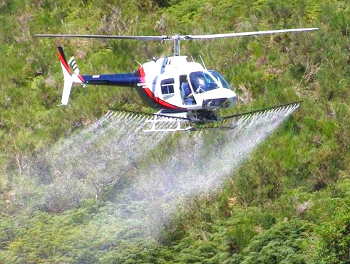 O SLG alerta sobre a toxicidade en persoas e fauna das fumigacións aéreas da Xunta contra o goníptero do eucalipto