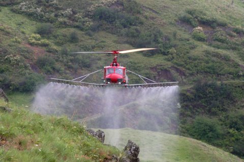O SLG reúnese coas forzas políticas de Melide para deter as fumigacións aéreas contra o goníptero do eucalipto