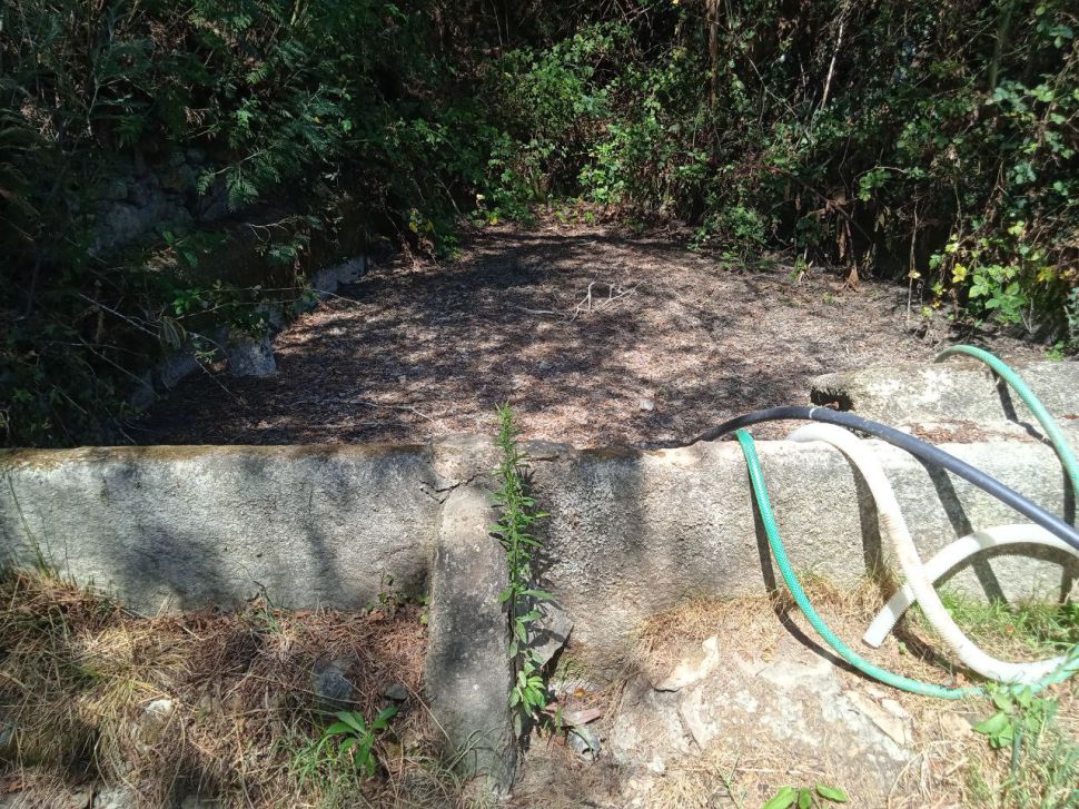 Requirimos xuntanza urxente coa CMR ante a mensaxe de socorro do sector vexetal