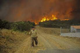 “Por un Monte Galego con Futuro” leva á fiscalía os lumes forestais en Reservas da Biosfera e Rede Natura
