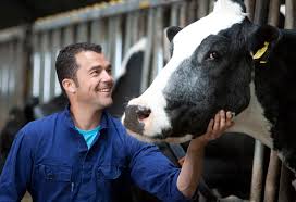 Riscos derivados dos contactos con animais