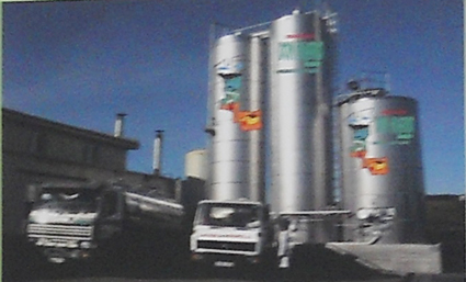 O SLG pide solucións á crise en Lácteos Riotorto, que baixará 7 céntimos ás granxas que lle venden o leite