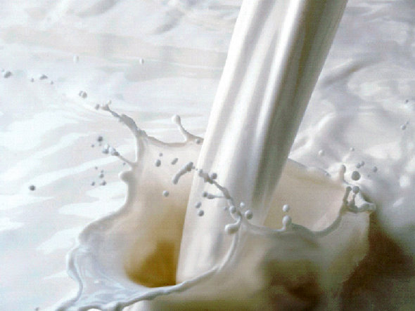 Envío masivo de leite a Bruxelas