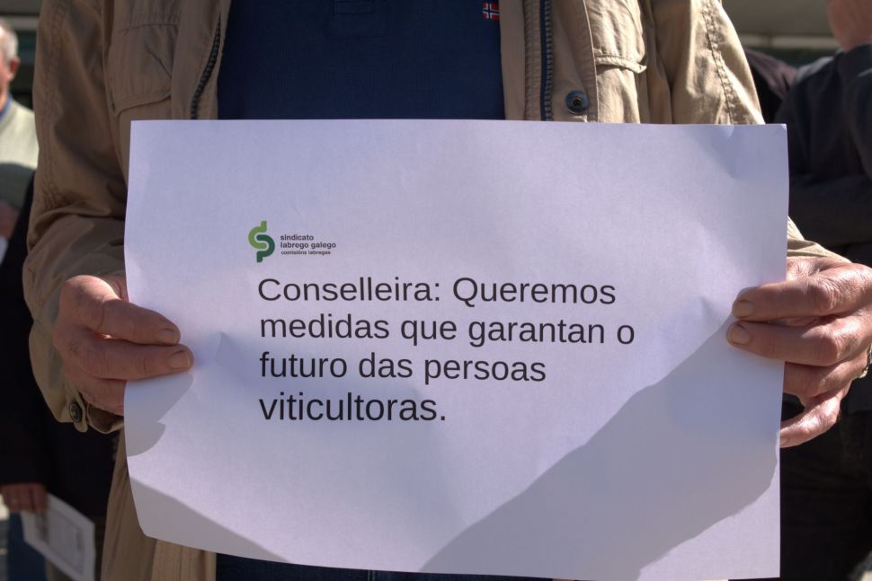 Abonda de mentiras ás viticultoras/es da Ribeira Sacra: fai meses que se contempla marco legal para xestionar esta crise