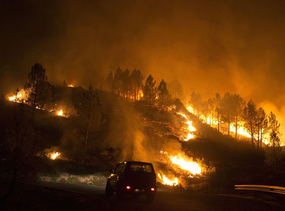 Esiximos a dimisión do director xeral de montes e un cambio radical nas políticas de prevención dos lumes