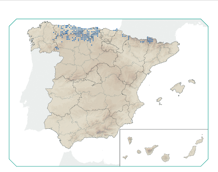 A presenza descontrolada de rata toupa volta pór en alerta ás granxas  da montaña luguesa