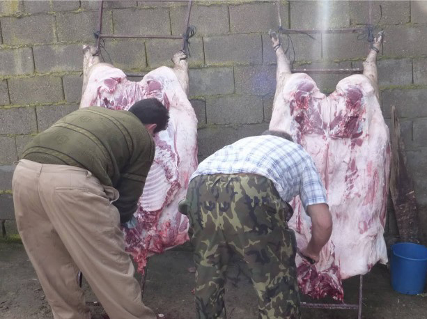 5. Enfermidades profesionais no sector agropecuario: Doenzas infecciosas e parasitarias