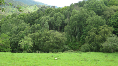 Presentación da Plataforma en Defensa das UXFOR
