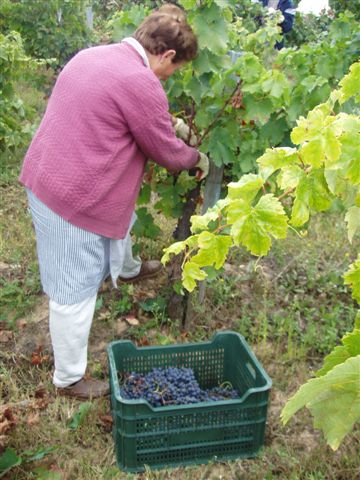 Falta de información e transparencia por parte de Medio Ambiente en relacion á declaración de zona Z.E.P.A. na comarca d´A Limia