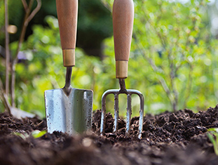 AS PROPOSTAS LEXISLATIVAS PARA REGULAR A NOVA POLÍTICA AGRARIA COMÚN PAC 2020-2027