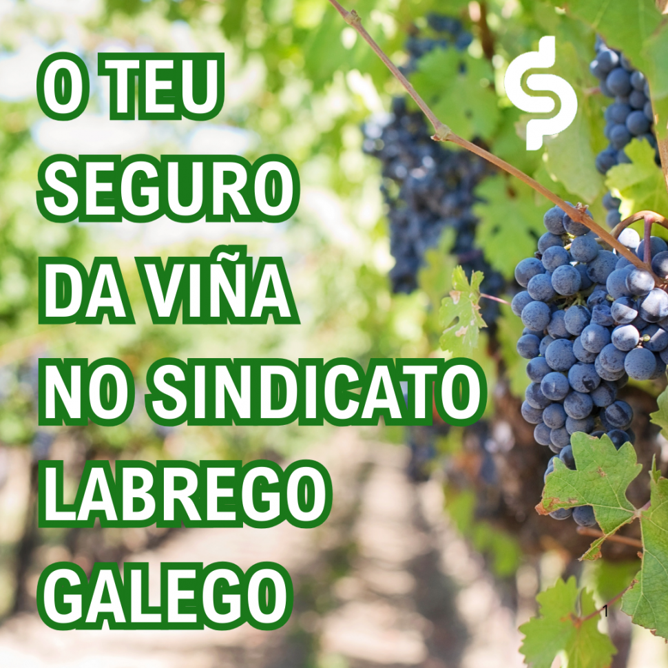 O TEU SEGURO  DA VIÑA  NO SINDICATO LABREGO GALEGO