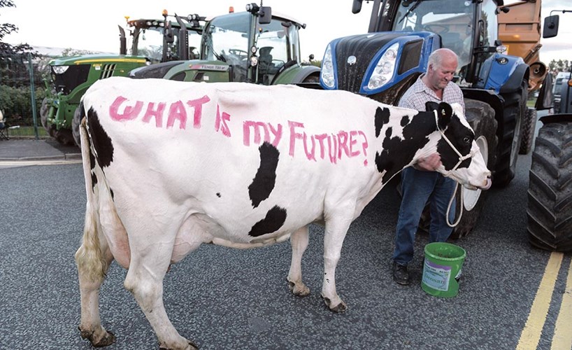 A Dirección do Leite do SLG denuncia a parálise da Xunta diante dos baixos prezos e o decreto de xurros