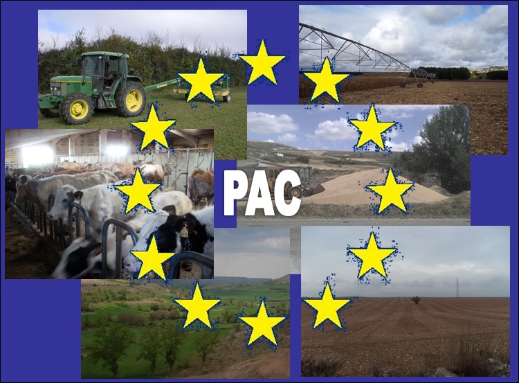 PAC 2020-2027: Que defendemos en Galiza para a inclusión no Plan Estratéxico Estatal?