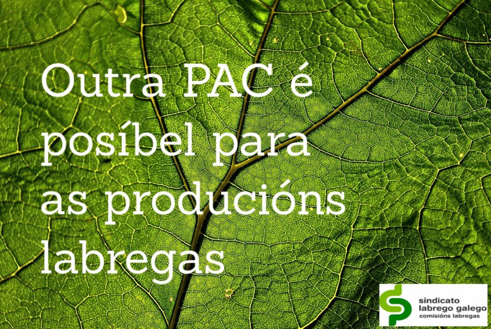 O SLG presenta diante do Ministerio a súa proposta de alegacións para o Plan Estratéxico da PAC 2023-2027