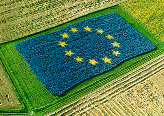 A ECVC denuncia que a reforma da PAC que prepara a CE non toca a raíz dos problemas da agricultura comunitaria