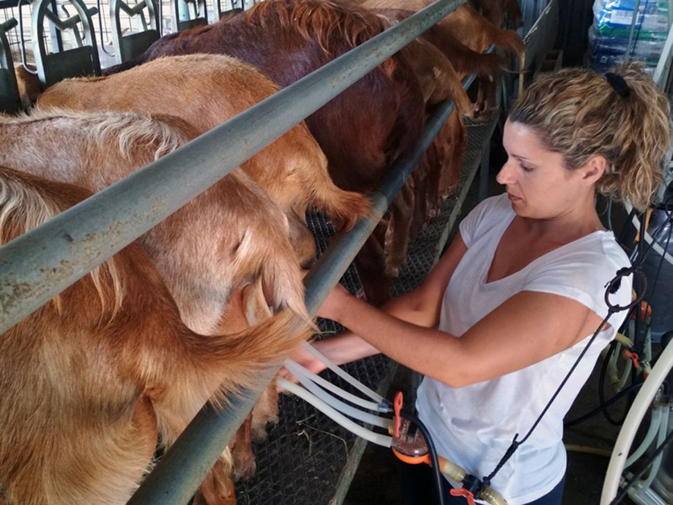 PAC 2020-2027: As mulleres nesta Política Agraria Común