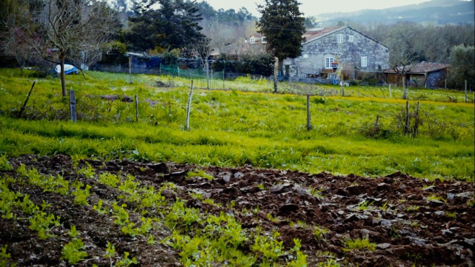 A Política Agrícola Común que soñamos