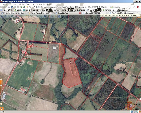 Localización da parcela solicitada en Mesía por Pioneer e debate no Parlamento Galego