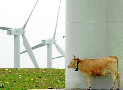 Medio cento de colectivos pedimos a moratoria a novos parques eólicos e outra normativa para o sector na Galiza