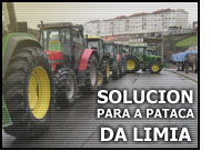 Atraso da Deputación de Ourense no pago das axudas para a pataca da Limia