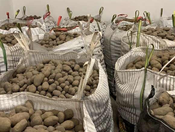 O SLG intermedia con Medio Rural para buscar saída a máis de 1’5 millóns de quilos de pataca de 11 produtores na Limia