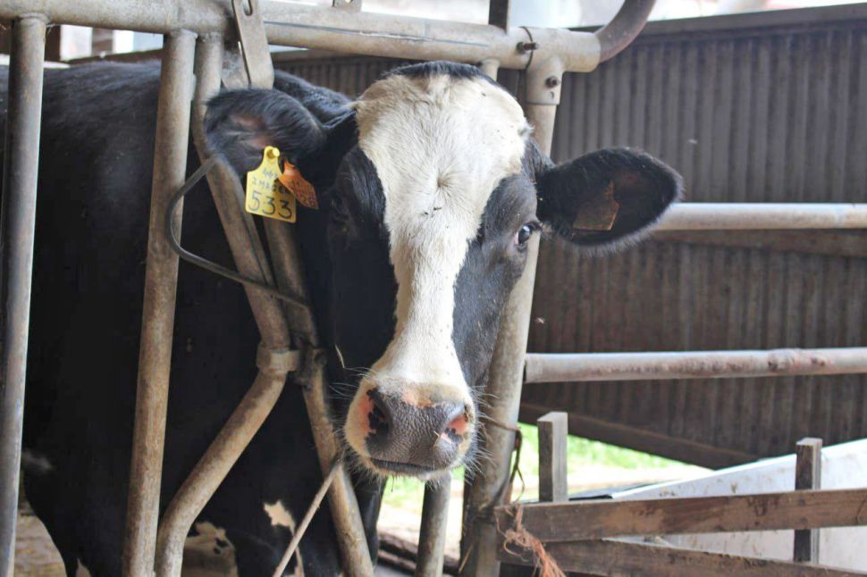 A Consellaría do Medio Rural demora as axudas destinadas á EHE dende hai máis de 3 meses