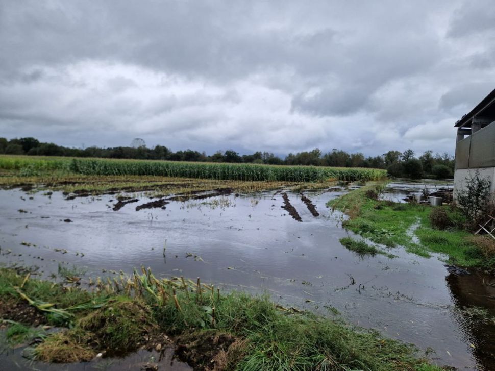 Urximos á Xunta de Galicia a valorar os danos provocados  pola borrasca Kirk e activar medidas para paliar as perdas