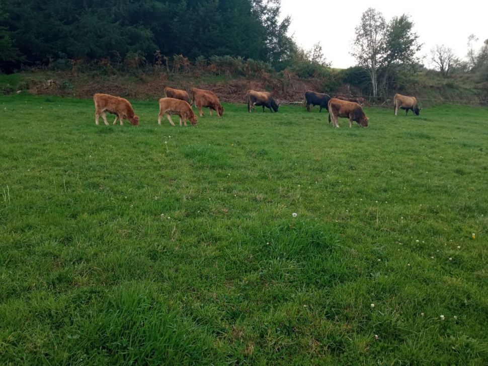 Os cambios realizados no prego de concións da IXP TG non son menores. Recorreremos esta modificación e elevarémola á UE se é preciso