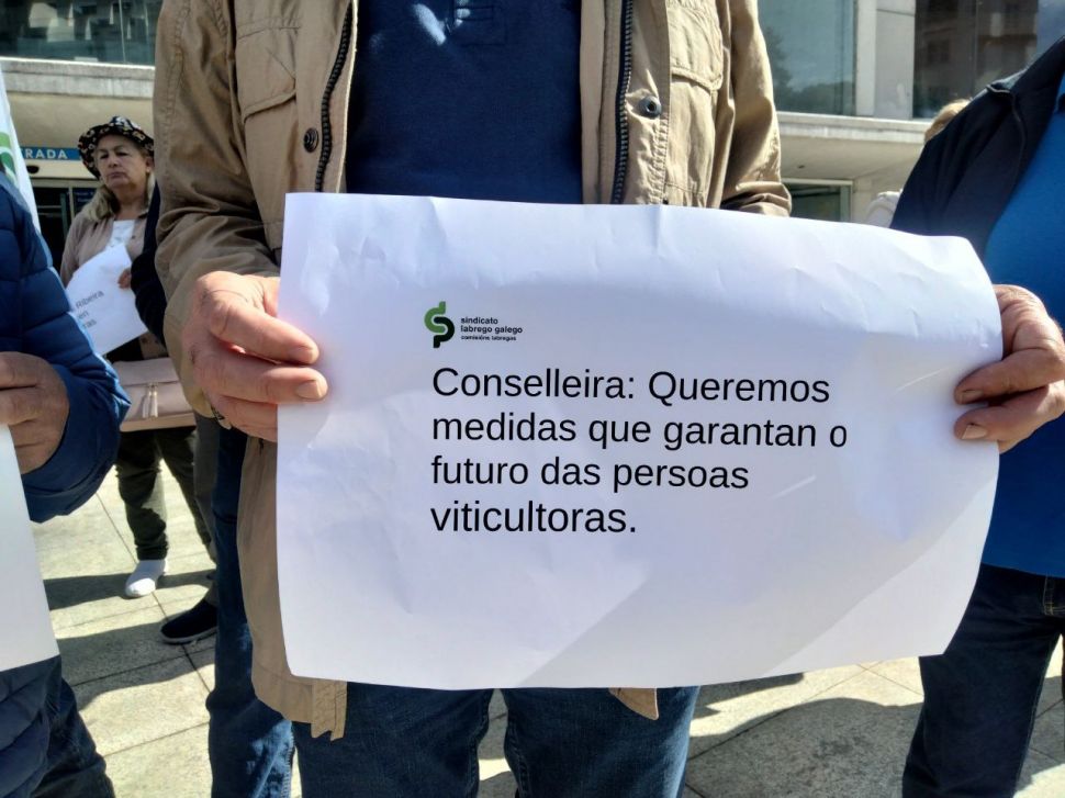 Non ao peche en falso da crise da Ribeira Sacra: sen medidas coherentes para salvar ás viticultoras/es e a vendima do 2025