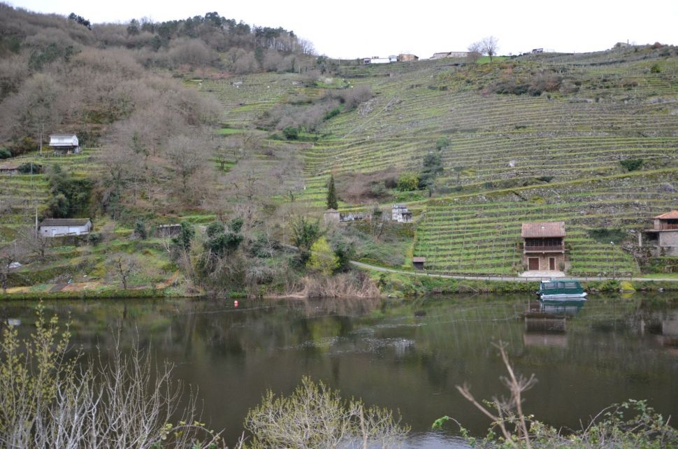 A quen vai favorecer que a Consellaría do Medio Rural estea deixando esmorecer ás pequenas viticultoras e viticultores da Ribeira Sacra?