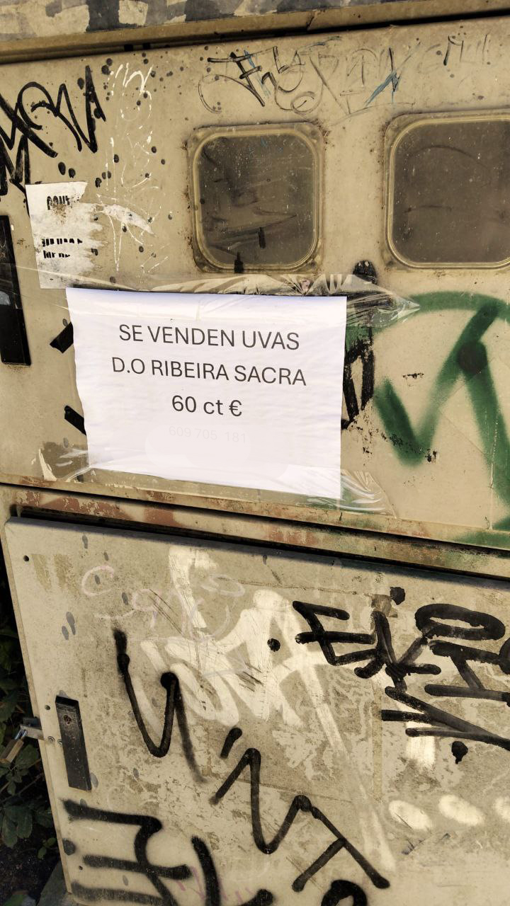 As viticultoras e viticultores da Ribeira Sacra achegarán mañá a Alfonso Rueda as súas reivindicacións