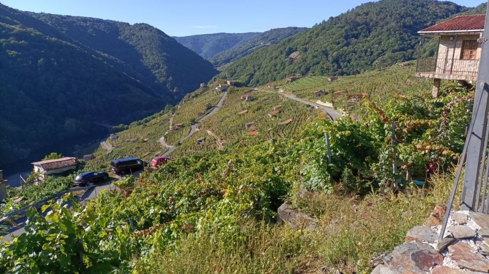 As mentiras da Xunta: non hai folla de ruta para as viticultoras e viticultores da Ribeira Sacra