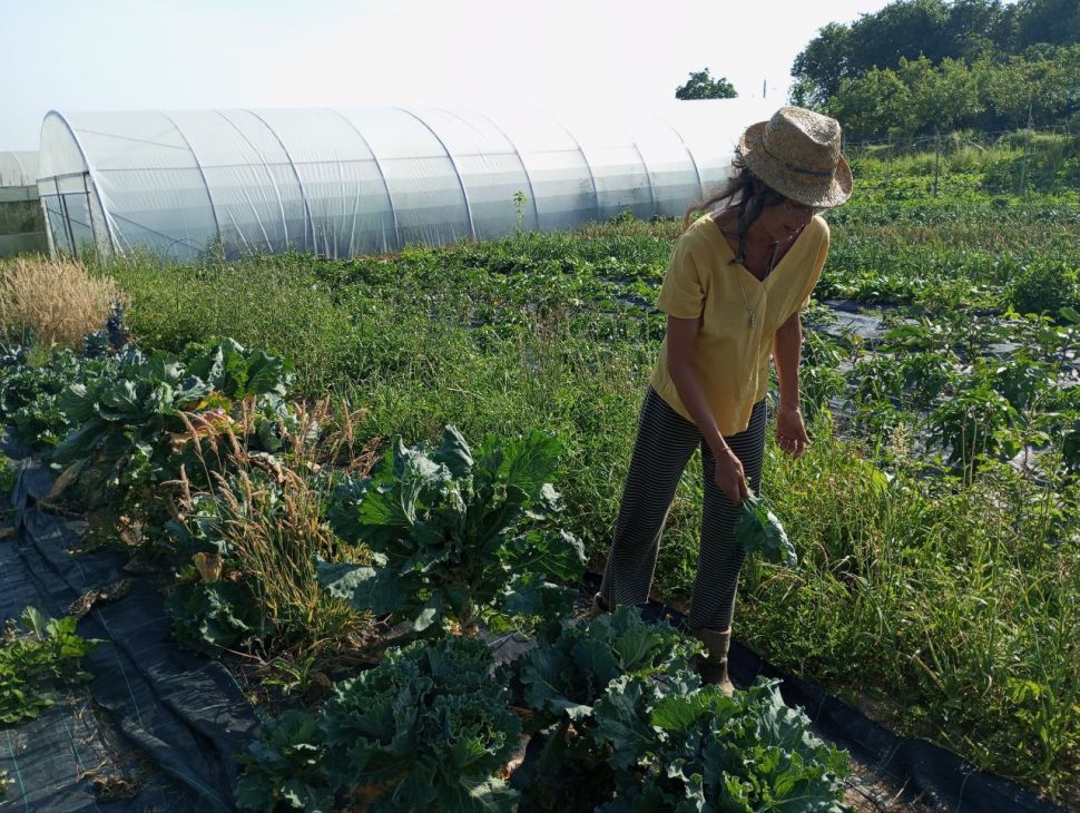 O máis que probable atraso nas incorporacións volta provocar inseguridade a centos de novas persoas agricultoras