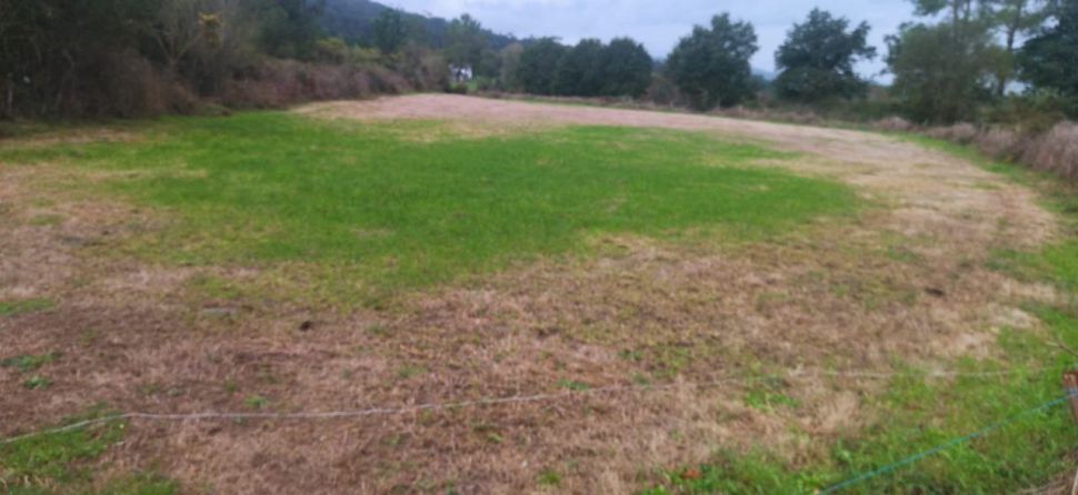 Urximos á CMR a actuar fronte á praga de vermes que leva meses afectando pradeiras e cultivos