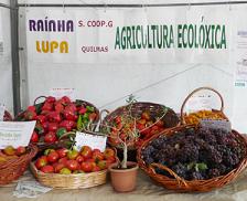 Quilmas acolle este sábado a terceira edición do seu mercado ecolóxico pola defensa da terra
