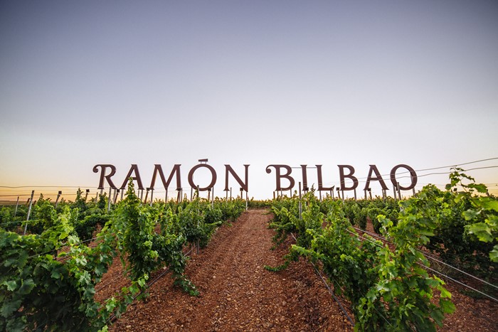 Cinco grandes adegas acapararon o 43% das axudas á reestruturación do viñedo na Galiza de 2018