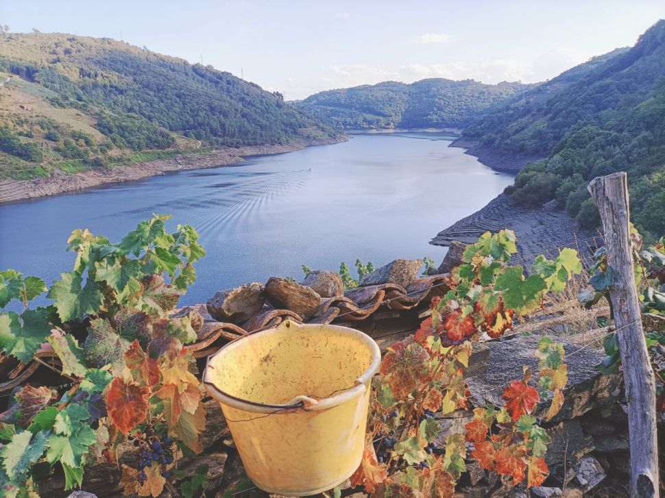 Diriximos cartas á Conselleira, AGACAL e aos 19 concellos da DO Ribeira Sacra demandando apoios para as viticultoras/es