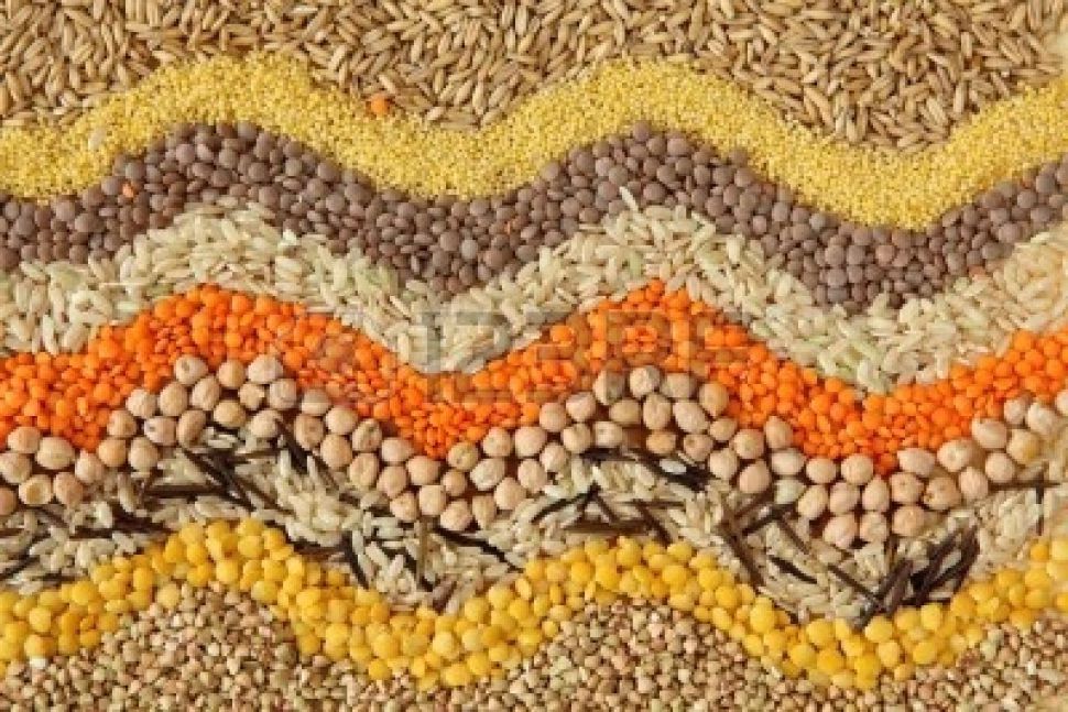 O SLG apoia as mobilizacións en Bruxelas para defender o dereito a cultivar e intercambiar as nosas propias sementes