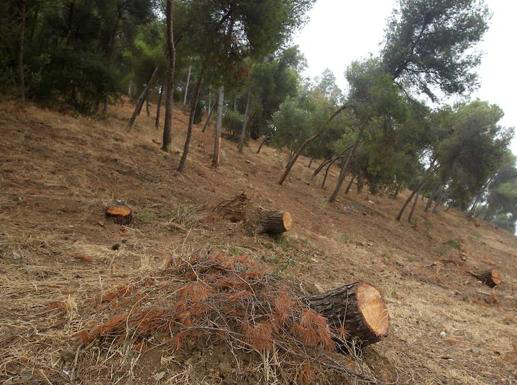 O SLG constata o incumprimento xeneralizado das rozas de seguridade para protexer núcleos habitados dos lumes