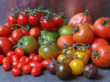 O mercado de alimentos labregos de Teo celebrará este sábado unha cata comentada de tomates
